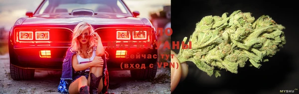 спиды Богданович