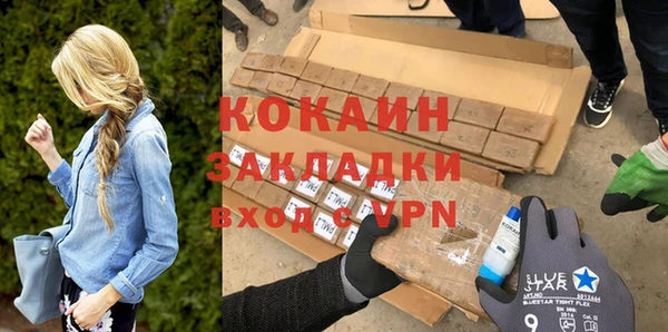 шишки Богородицк