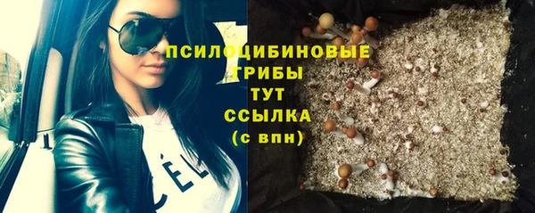 шишки Богородицк