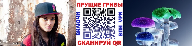 Купить  Троицк  Галлюциногенные грибы мицелий 